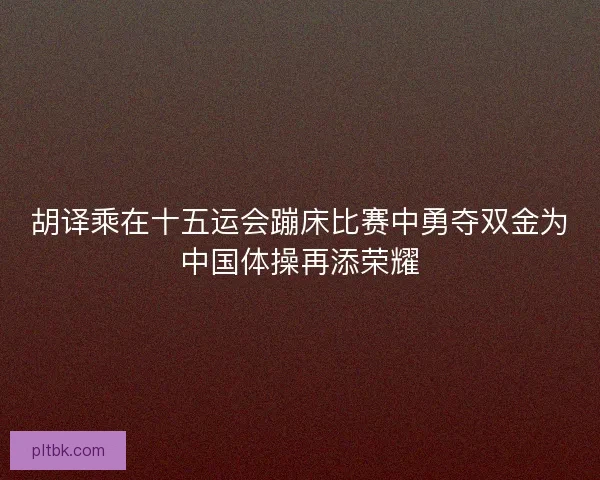 胡译乘在十五运会蹦床比赛中勇夺双金为中国体操再添荣耀