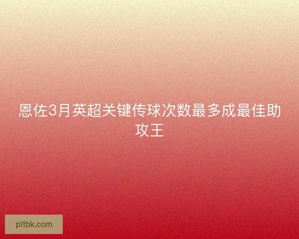 恩佐3月英超关键传球次数最多成最佳助攻王