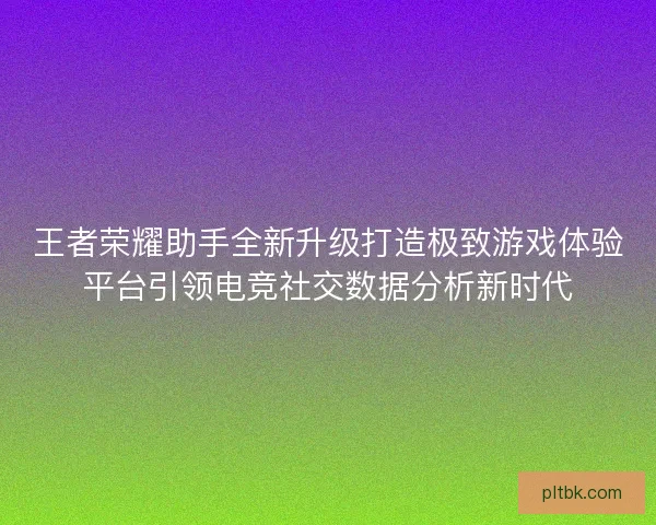 王者荣耀助手全新升级打造极致游戏体验平台引领电竞社交数据分析新时代