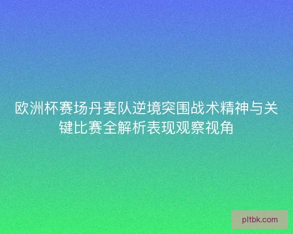 欧洲杯赛场丹麦队逆境突围战术精神与关键比赛全解析表现观察视角